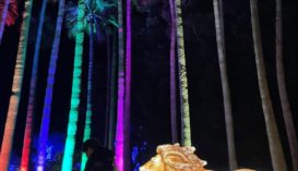 とベZOO イルミネーション2025